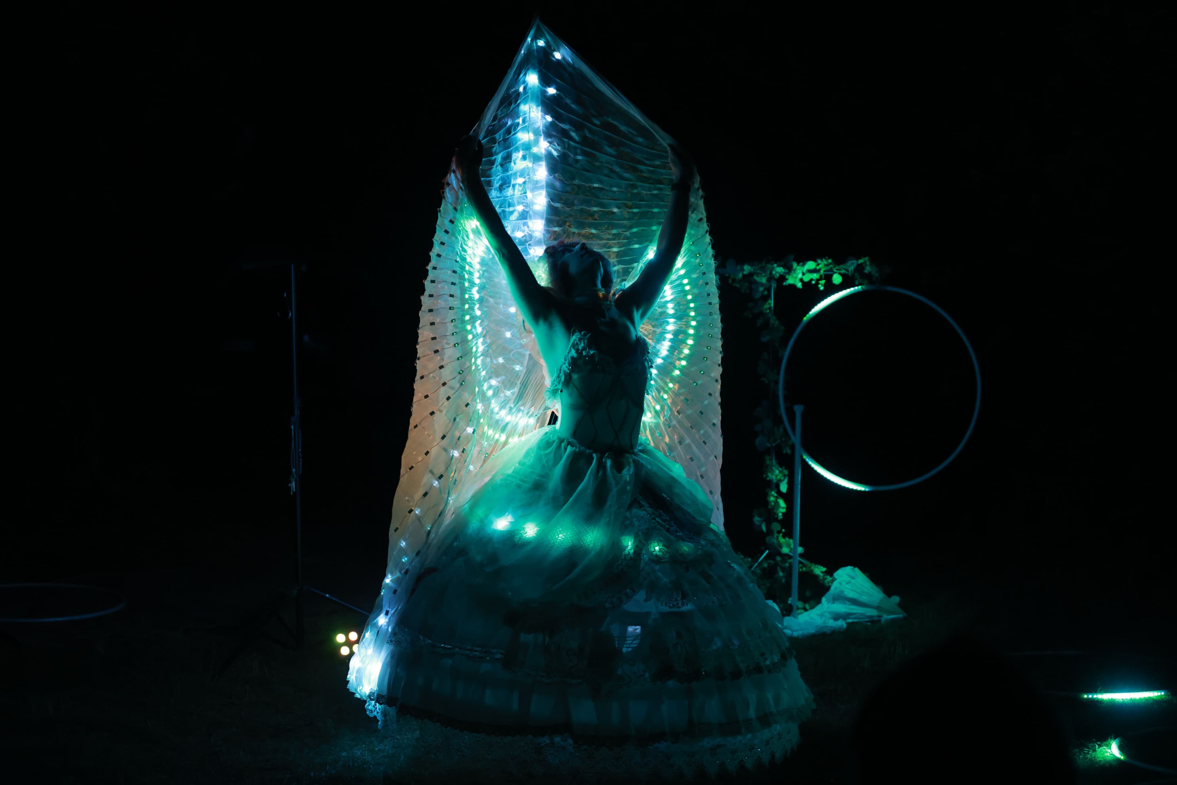 Galeriebild für LED Show