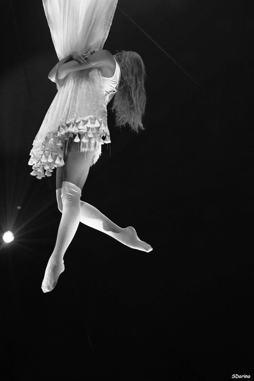 Galeriebild für Verzaubernde Luftartistik