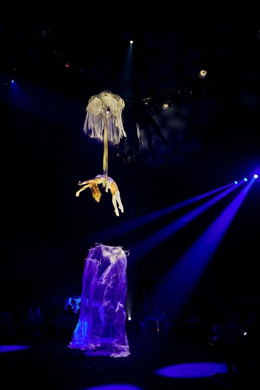 Galeriebild für Verzaubernde Luftartistik