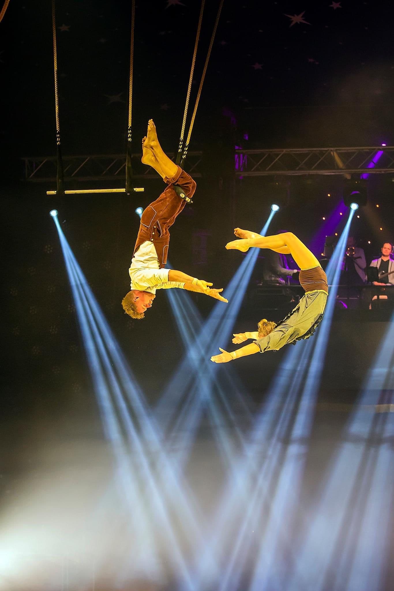 Galeriebild für The Puppet Act