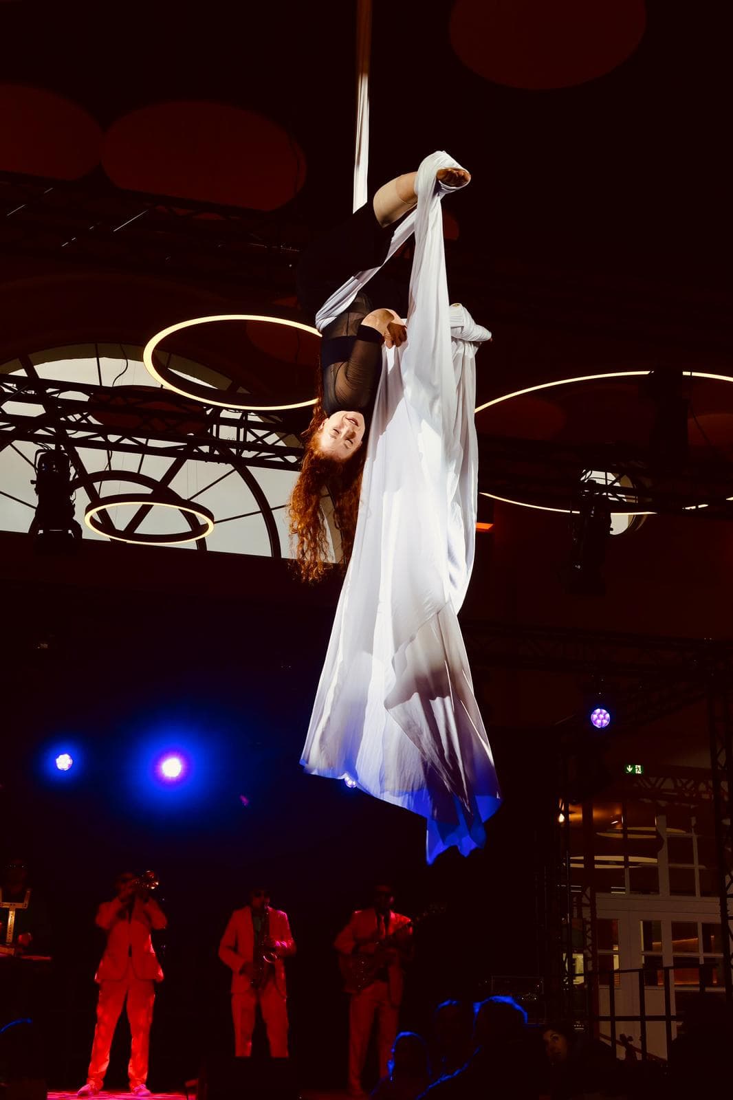 Galeriebild für Vertikaltuch "I See red"