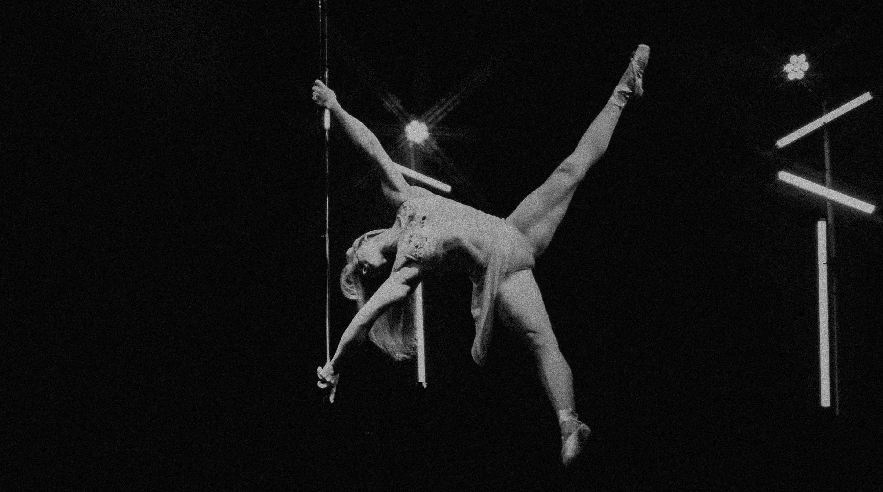 Galeriebild für Invicta – Pole Dance Show