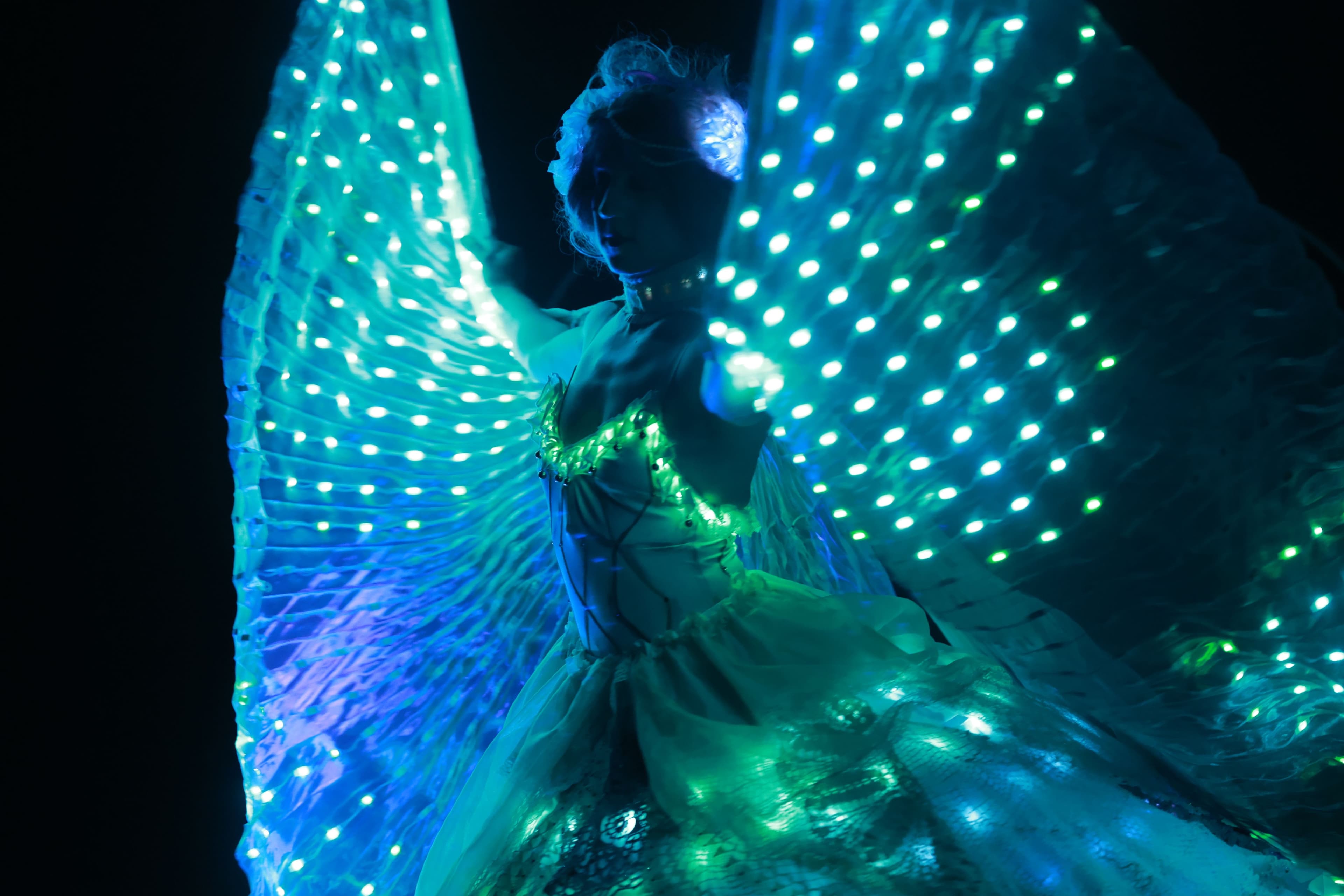 Galeriebild für LED Show