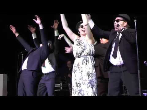 Blues Brothers Doubles - Auftritt in Celle 2