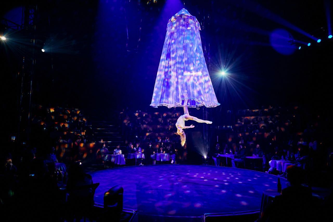 Verzaubernde Luftartistik